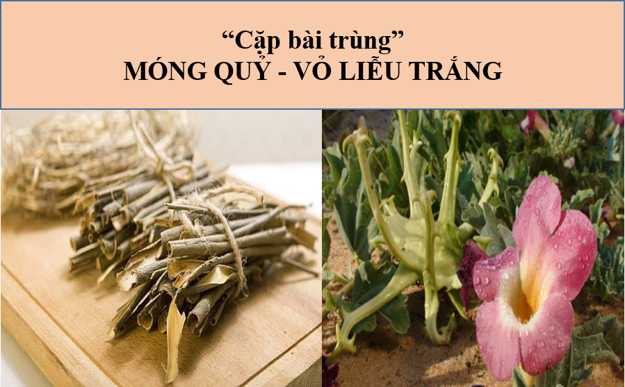 Bác sĩ cho tôi hỏi, bệnh thoái hóa khớp nên ăn gì và không nên ăn gì?